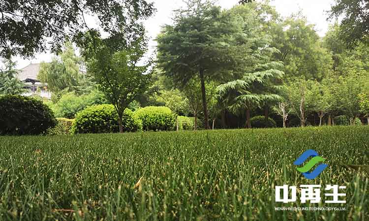 生活垃圾填埋場生態恢復植被是如何選擇的?